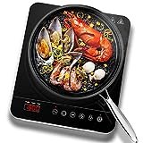 Aobosi Placa inducción, placas de induccion eléctrica, vidrio cerámico de con pantalla digital LED placa caliente, Sensor de Control táctily Cerradura de Seguridad, temporizador de 4 horas,2000W