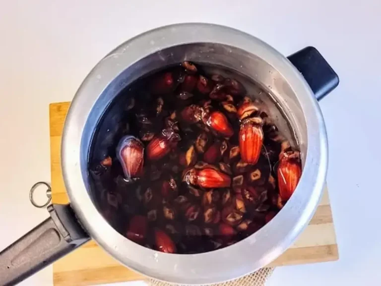 Como fazer Pinhão Cozido na Panela de Pressão 2